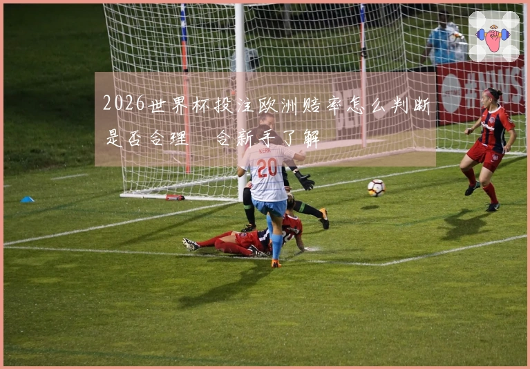 2026世界杯投注欧洲赔率怎么判断是否合理適合新手了解
