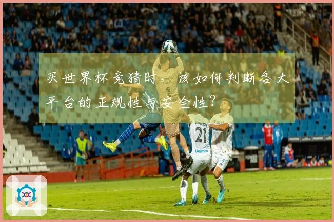 买世界杯竞猜时，该如何判断各大平台的正规性与安全性？