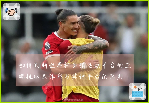 如何判断世界杯竞猜活动平台的正规性以及体彩与其他平台的区别