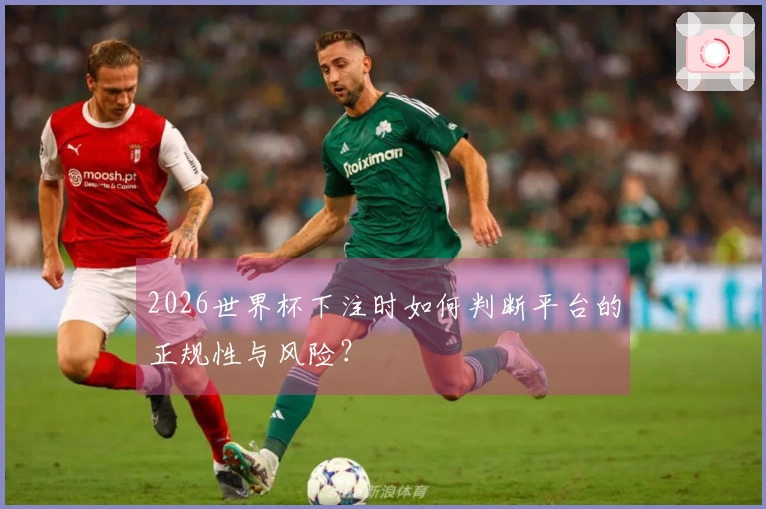 2026世界杯下注时如何判断平台的正规性与风险？