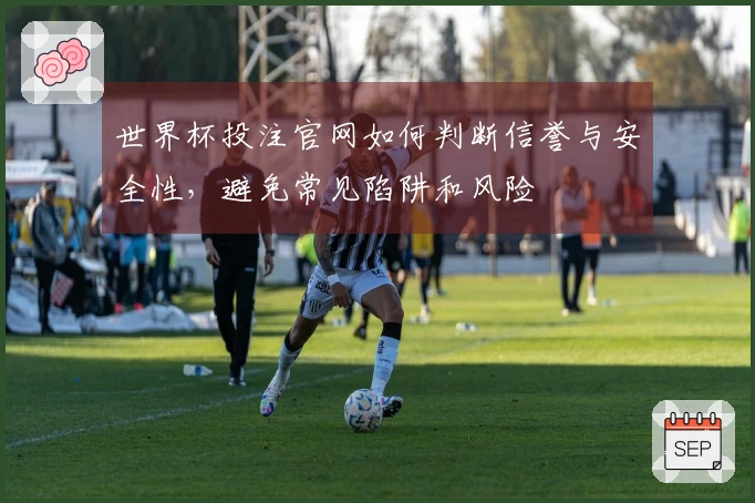 世界杯投注官网如何判断信誉与安全性，避免常见陷阱和风险