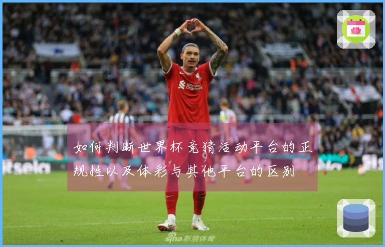 如何判断世界杯竞猜活动平台的正规性以及体彩与其他平台的区别