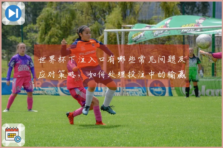 世界杯下注入口有哪些常见问题及应对策略，如何处理投注中的输赢波动？