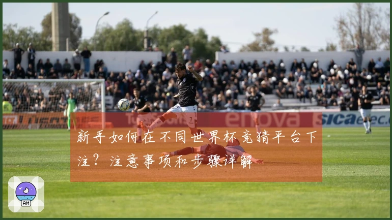 新手如何在不同世界杯竞猜平台下注？注意事项和步骤详解