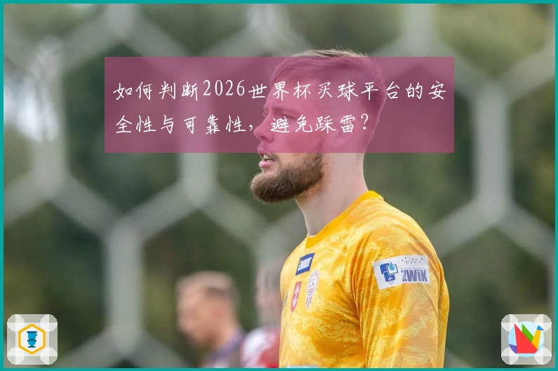 如何判断2026世界杯买球平台的安全性与可靠性，避免踩雷？