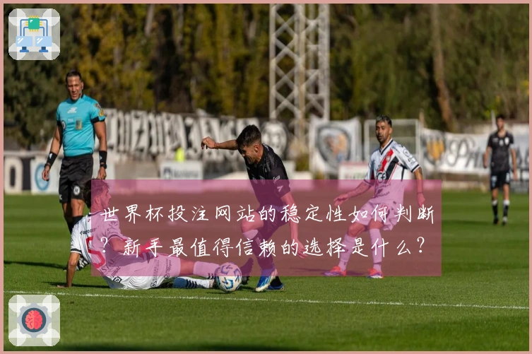 世界杯投注网站的稳定性如何判断？新手最值得信赖的选择是什么？