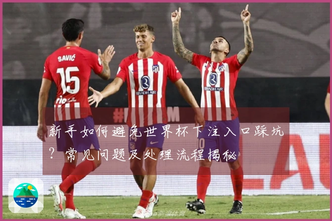 新手如何避免世界杯下注入口踩坑？常见问题及处理流程揭秘
