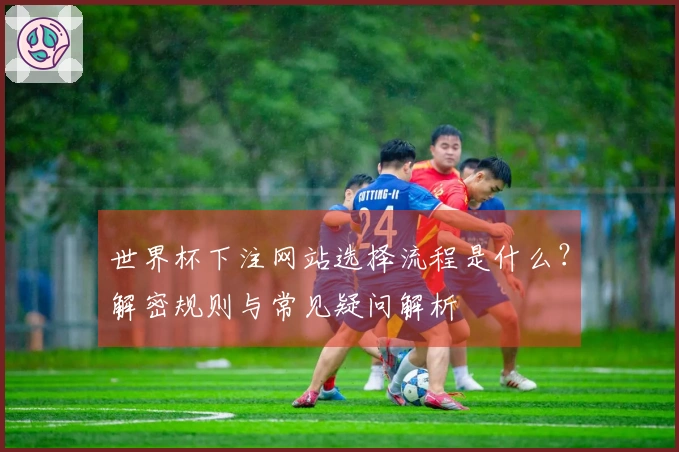 世界杯下注网站选择流程是什么？解密规则与常见疑问解析