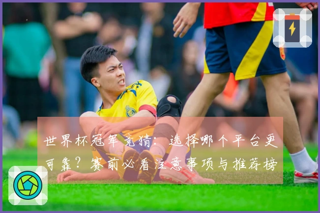 世界杯冠军竞猜：选择哪个平台更可靠？赛前必看注意事项与推荐榜单