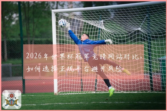 2026年世界杯冠军竞猜网站对比，如何选择正规平台避开风险