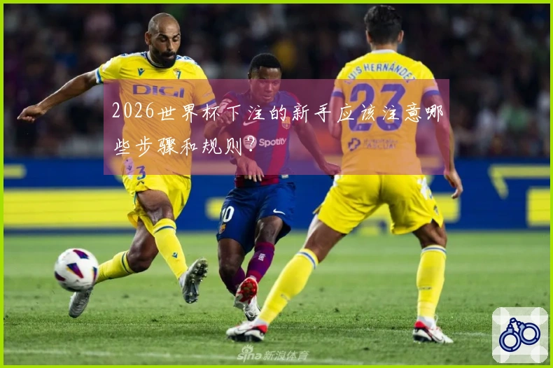 2026世界杯下注的新手应该注意哪些步骤和规则？
