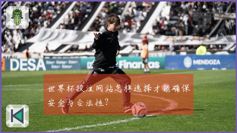 世界杯投注网站怎样选择才能确保安全与合法性？