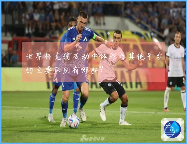 世界杯竞猜活动中体彩与其他平台的主要区别有哪些？