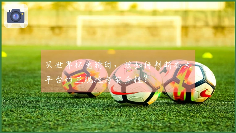 买世界杯竞猜时，该如何判断各大平台的正规性与安全性？