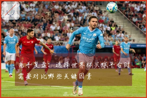 老手复盘：选择世界杯买球平台时需要对比哪些关键因素