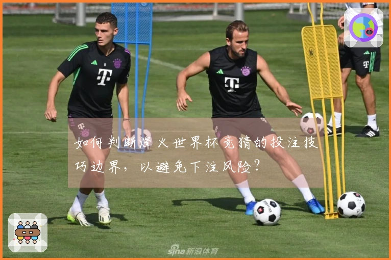 如何判断烽火世界杯竞猜的投注技巧边界，以避免下注风险？