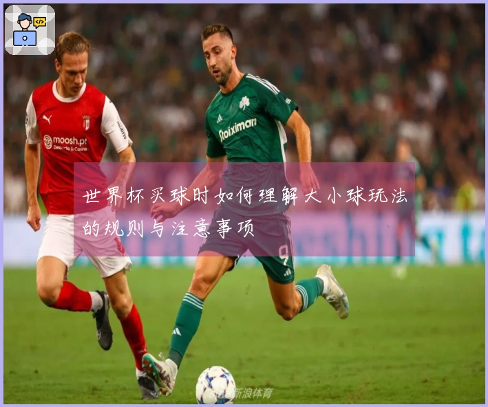 世界杯买球时如何理解大小球玩法的规则与注意事项