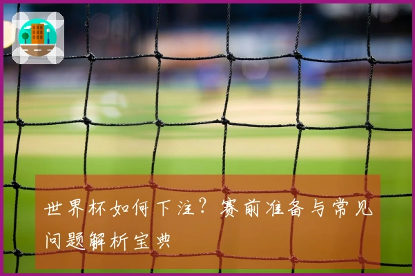 世界杯如何下注？赛前准备与常见问题解析宝典