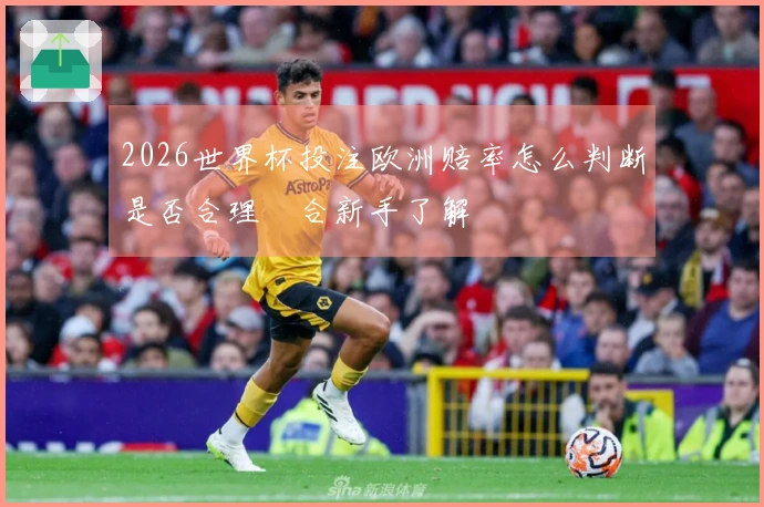 2026世界杯投注欧洲赔率怎么判断是否合理適合新手了解