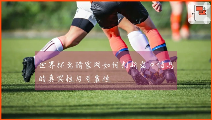 世界杯竞猜官网如何判断盘口信息的真实性与可靠性