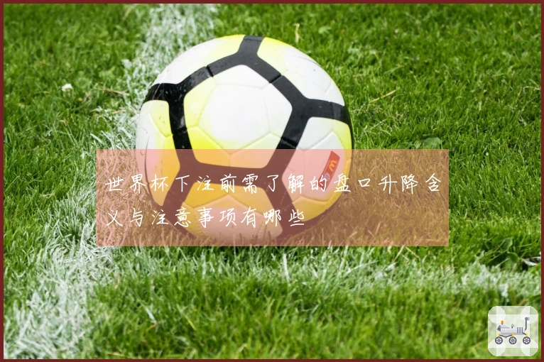 世界杯下注前需了解的盘口升降含义与注意事项有哪些