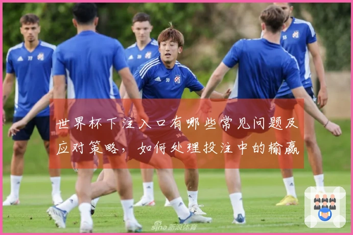 世界杯下注入口有哪些常见问题及应对策略，如何处理投注中的输赢波动？