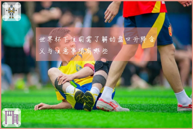 世界杯下注前需了解的盘口升降含义与注意事项有哪些