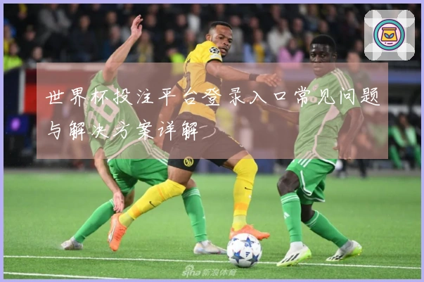 世界杯投注平台登录入口常见问题与解决方案详解