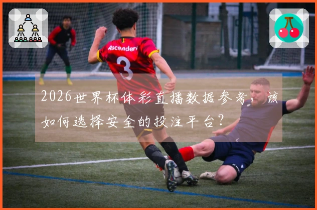 2026世界杯体彩直播数据参考，该如何选择安全的投注平台？