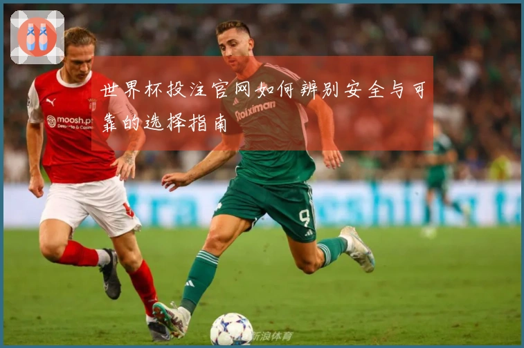 世界杯投注官网如何辨别安全与可靠的选择指南