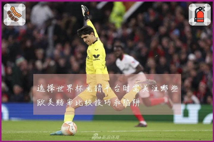 选择世界杯竞猜平台时需关注哪些欧美赔率比较技巧和陷阱