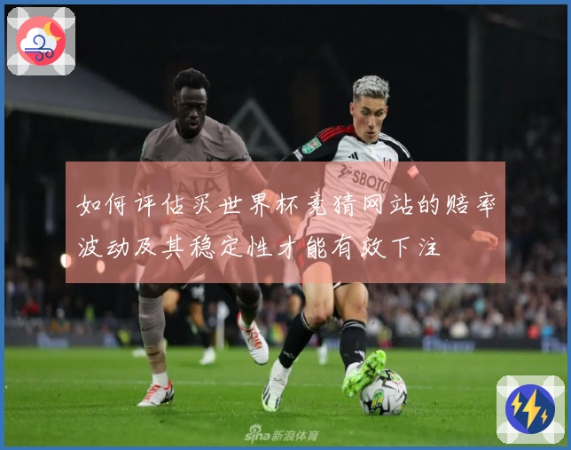 如何评估买世界杯竞猜网站的赔率波动及其稳定性才能有效下注