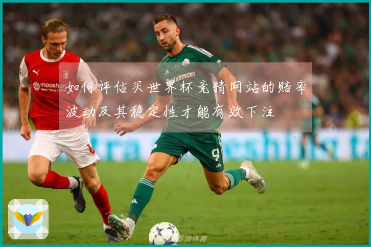 如何评估买世界杯竞猜网站的赔率波动及其稳定性才能有效下注