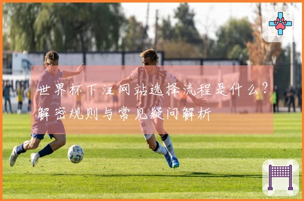 世界杯下注网站选择流程是什么？解密规则与常见疑问解析