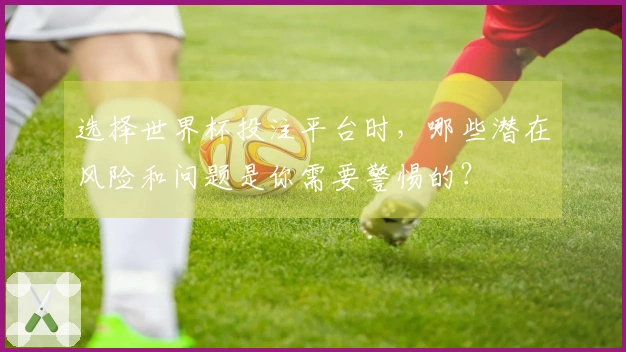 选择世界杯投注平台时，哪些潜在风险和问题是你需要警惕的？