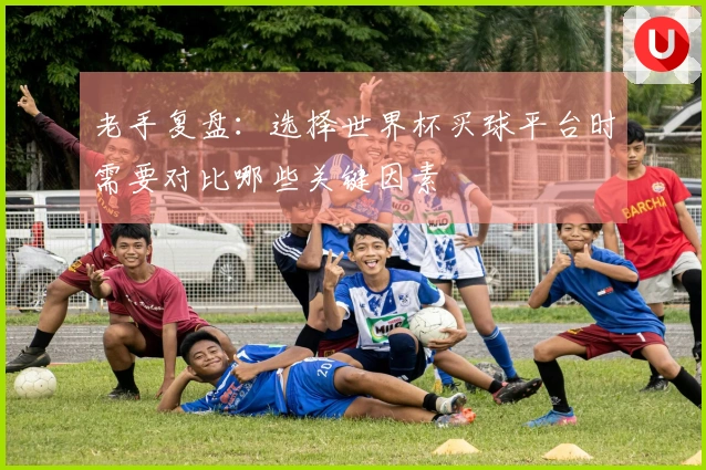老手复盘：选择世界杯买球平台时需要对比哪些关键因素