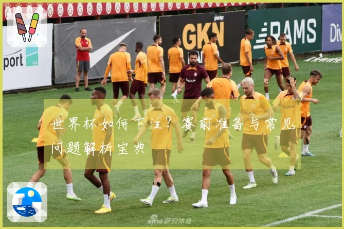 世界杯如何下注？赛前准备与常见问题解析宝典