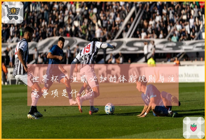 世界杯下注前必知的体彩规则与注意事项是什么？